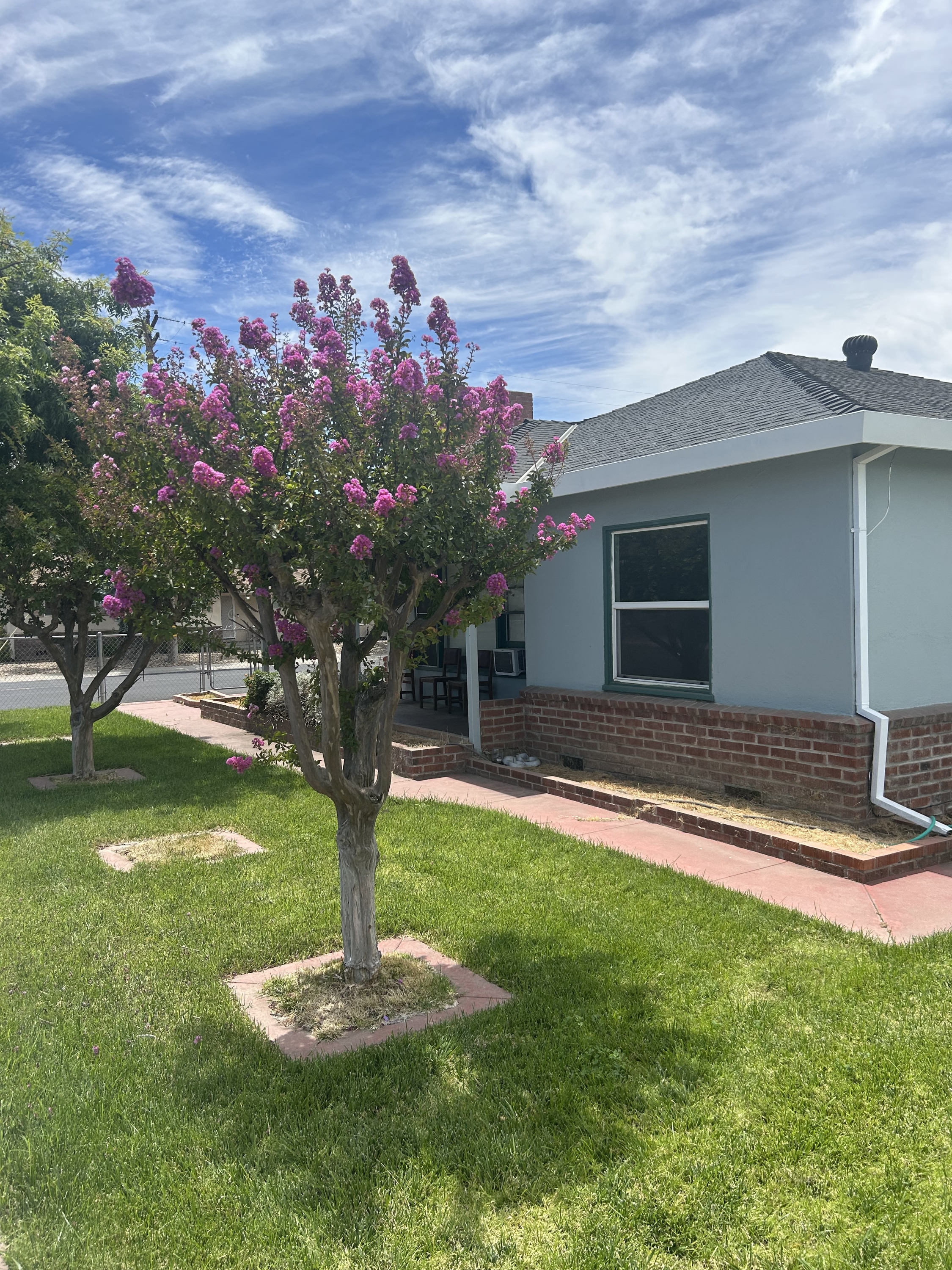 1301 Higbee Drive
