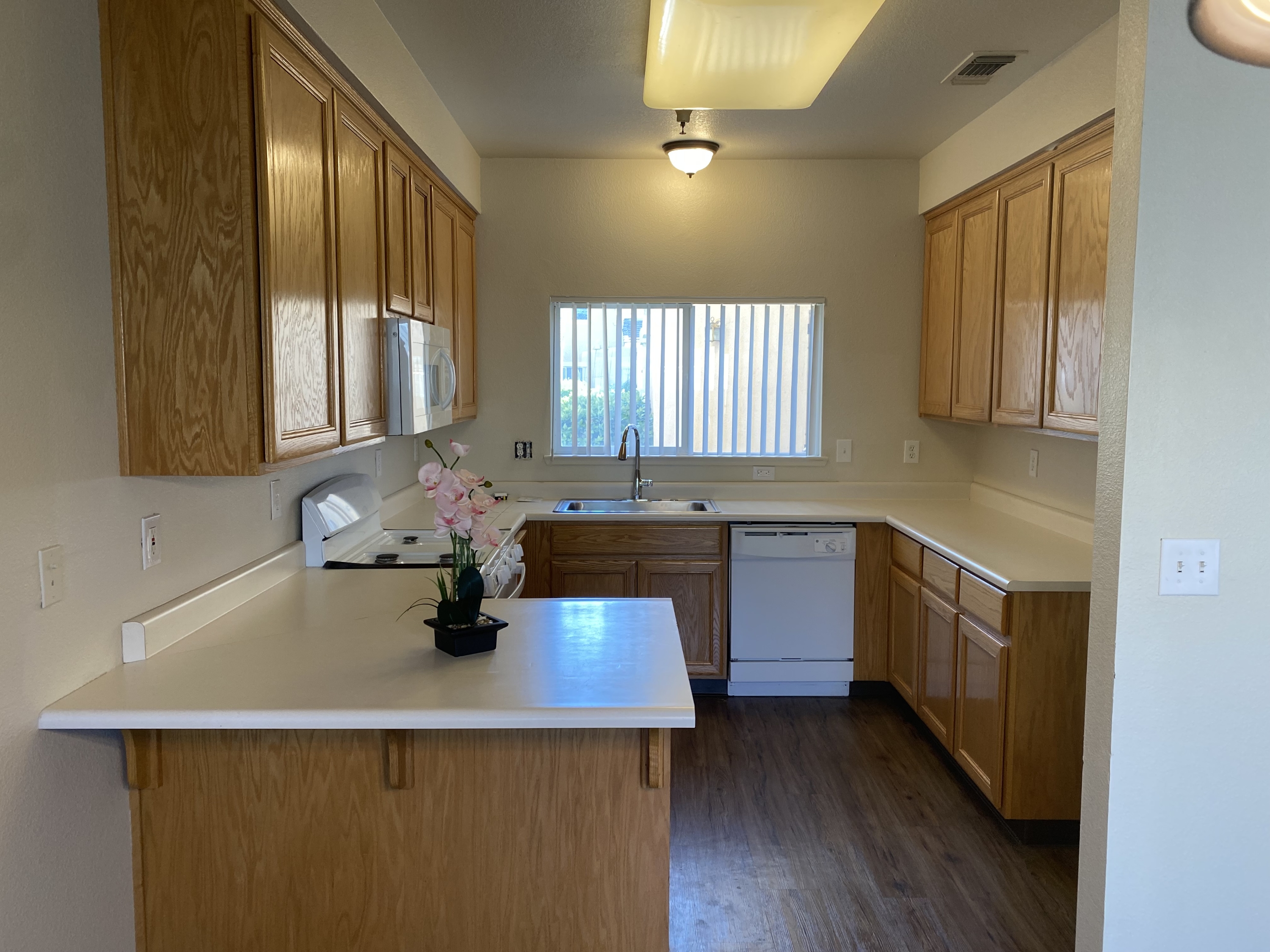 2917 Snyder Avenue - D